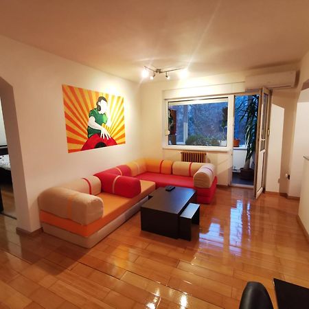 Comfy & Pleasant Apartment 10 Min Walk To Downtown Τιμισοάρα Εξωτερικό φωτογραφία