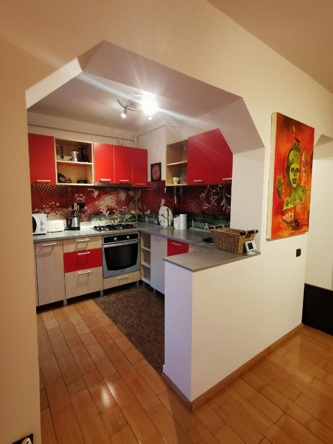 Comfy & Pleasant Apartment 10 Min Walk To Downtown Τιμισοάρα Εξωτερικό φωτογραφία