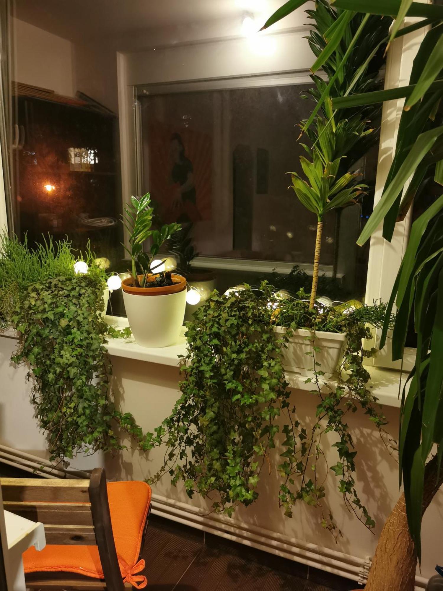 Comfy & Pleasant Apartment 10 Min Walk To Downtown Τιμισοάρα Εξωτερικό φωτογραφία