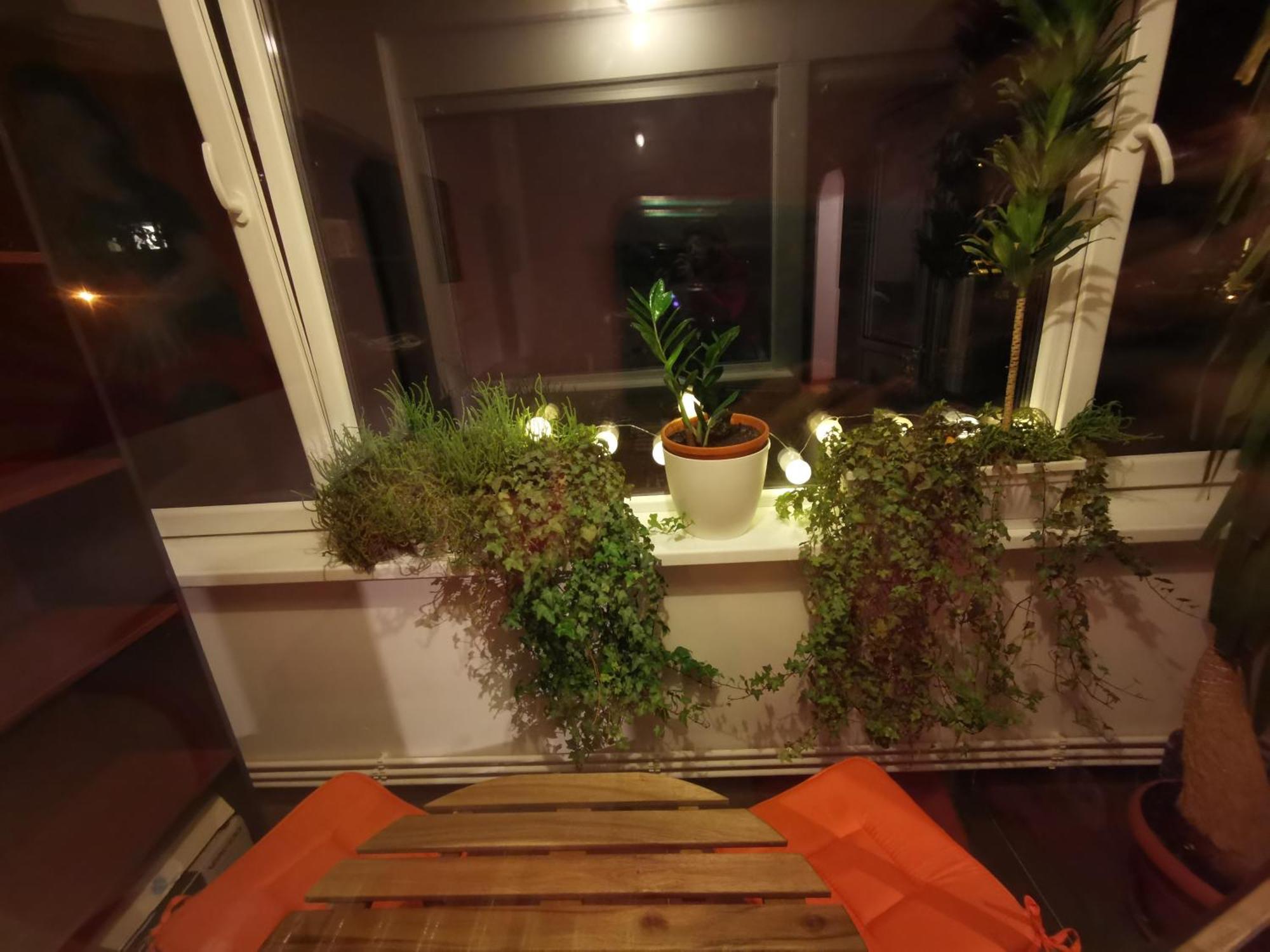 Comfy & Pleasant Apartment 10 Min Walk To Downtown Τιμισοάρα Εξωτερικό φωτογραφία