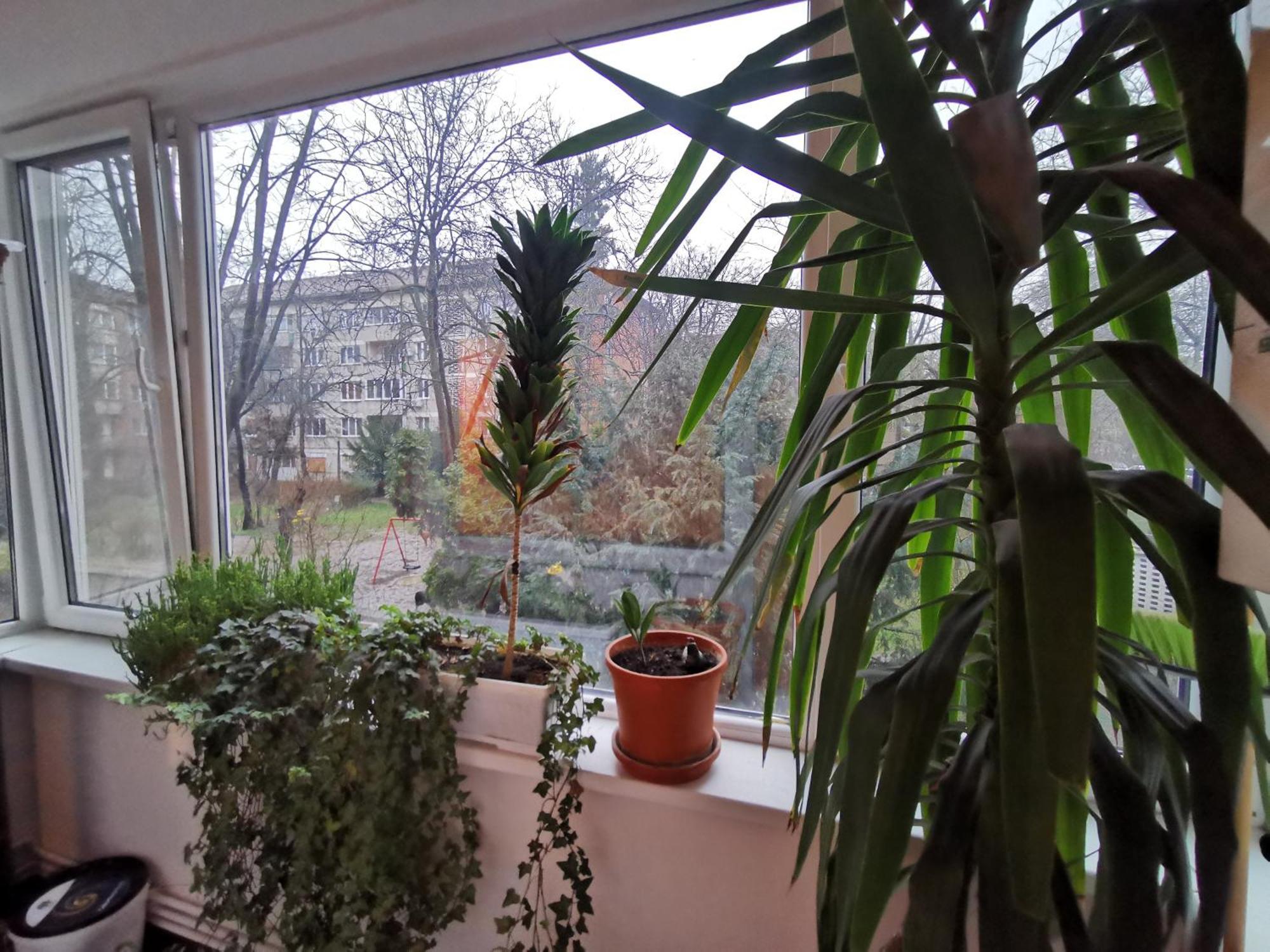 Comfy & Pleasant Apartment 10 Min Walk To Downtown Τιμισοάρα Εξωτερικό φωτογραφία