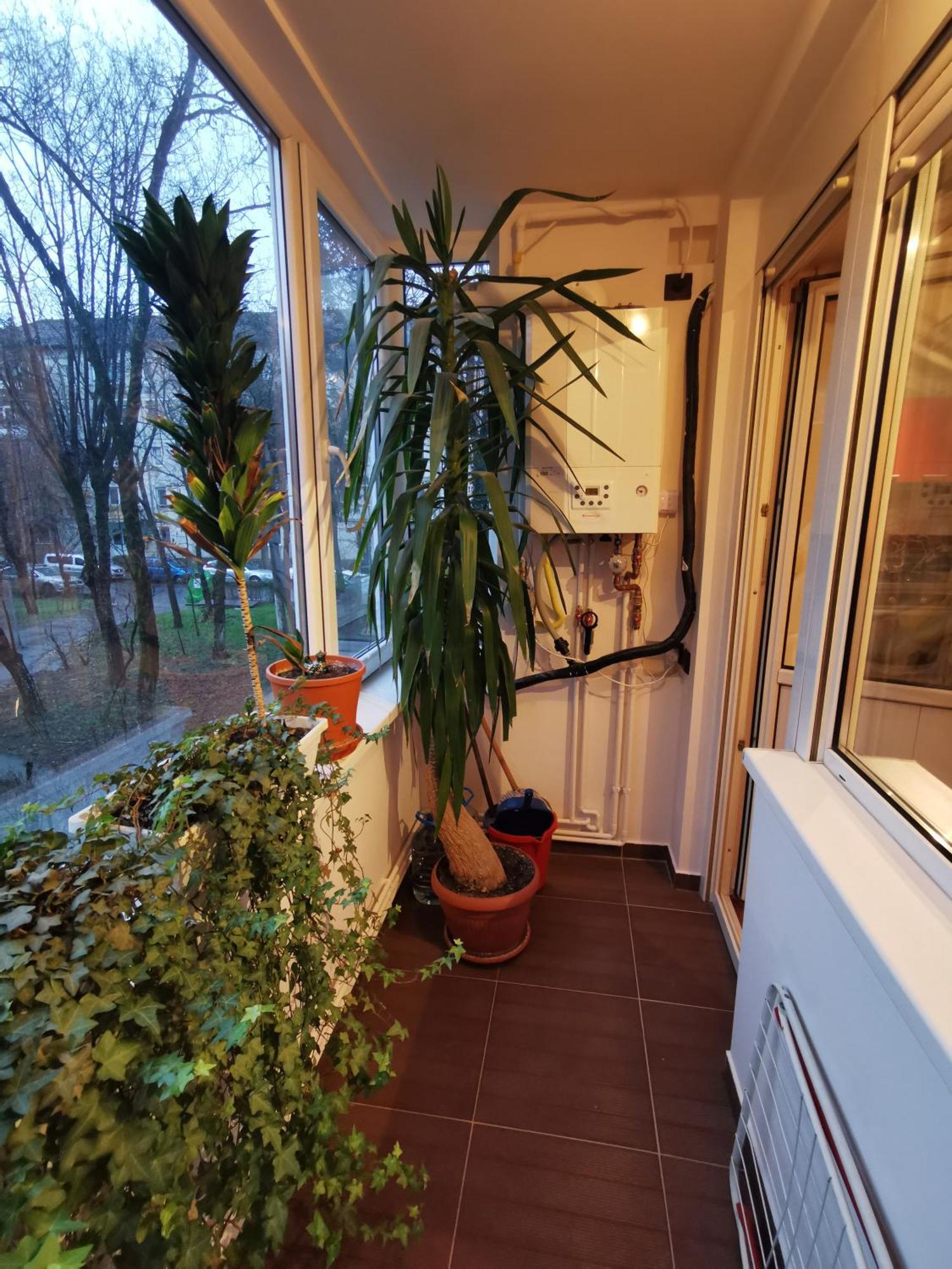 Comfy & Pleasant Apartment 10 Min Walk To Downtown Τιμισοάρα Εξωτερικό φωτογραφία